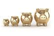 goldene_schweine