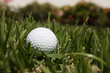 Photo: golf ball golf ball