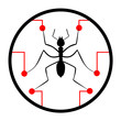 Science insect