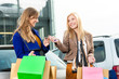 Two women were shopping and driving home