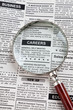 Fake Classified Ad
