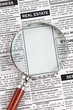 Fake Classified Ad