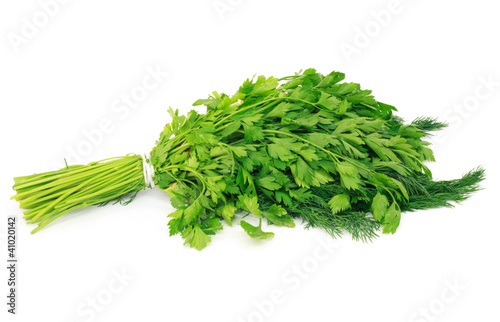 Photo: Dill and parsley isolated on a white background Dill and parsley isolated on a white background