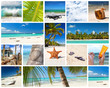 Tropical collage
