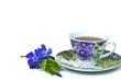 myrtle with tea cup