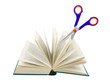 Scissors cutting book Scissors cutting book