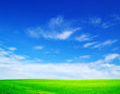field