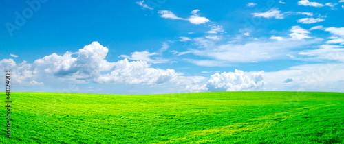 Photo: field field