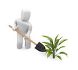 Man puts plants