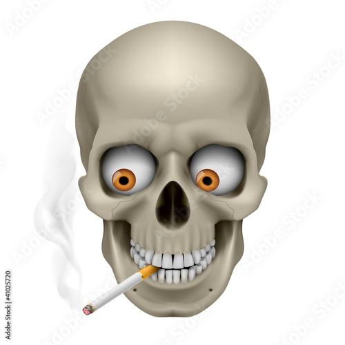 Vector: Human Skull Human Skull
