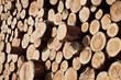 Foto: Holzindustrie Holzindustrie