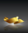 Gold camera film roll, vector