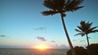 dawn on a tropical island