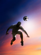 soccer player