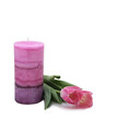 Large Pink Candle and Tulips