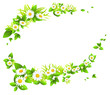 Chamomile  frame