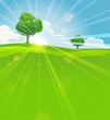 Summer landscape with trees