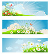 Summer floral banners