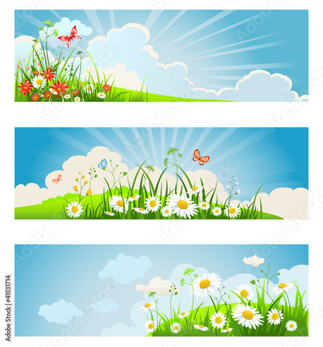 Vector: Summer floral banners Summer floral banners