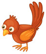 Red bird on white