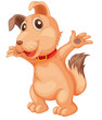 Cute dog
