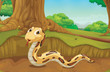 Snake in the forest