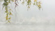 Autumnal Birch Branches Swaying Over A Misty Lake