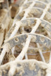 Macro Detail of Tractor Equipment.