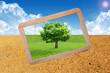 Natural landscape. ecological concept
