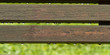 Raindrops on bench
