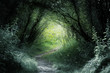 way in deep forest
