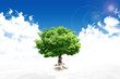 Natural landscape. ecological concept