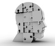 puzzle kopf