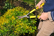 Gardener