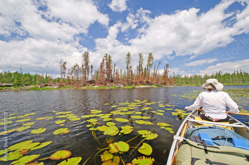 Photo: Boreal Forest and marshland in the north woods Boreal Forest and marshland in the north woods