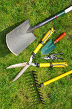 Gardening concept