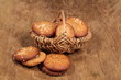 Mini-SchÃ¼ttelbrot