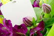 Alstroemeria Flower