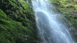 Beautiful Lush Waterfall
