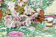 Cherry Blossoms on Asian Plate Cherry Blossoms on Asian Plate