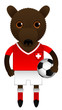 Switzerland Football Soccer Mascot Character