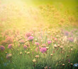 Spring floral background
