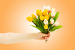 Hand with tulips on gradient