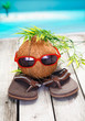 Cool coconut adventurer Cool coconut adventurer