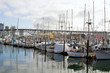 Marina at Granville Island Marina at Granville Island