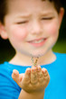 painted lady butterfly, Vanessa cardui, being held by child