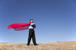 Businessman hero