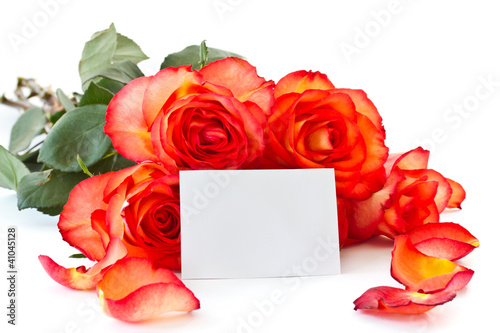 Photo: bouquet of roses bouquet of roses