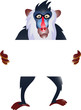 Vetor: baboon with blank sign baboon with blank sign