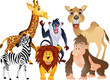 animal collection